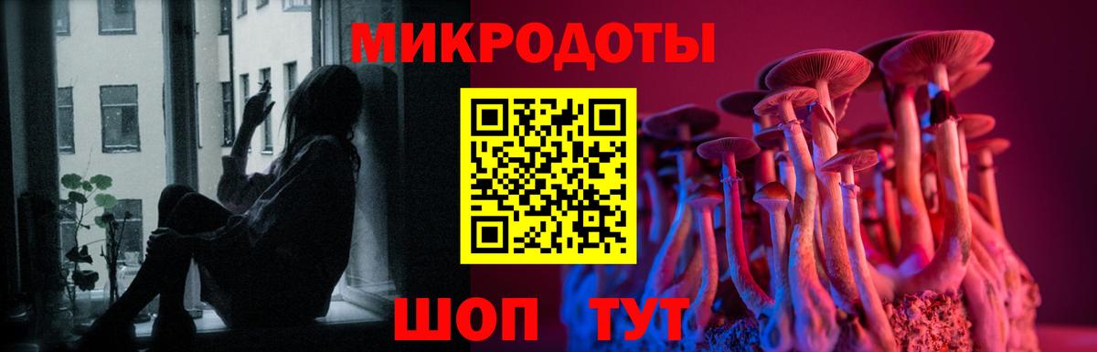 Псилоцибиновые грибы Cubensis Алапаевск